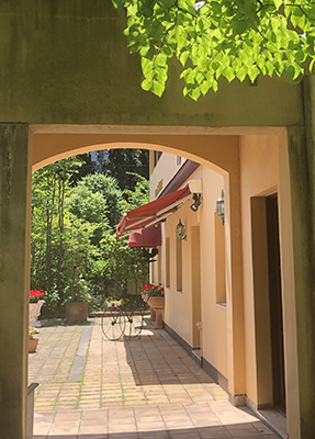 フィオーレの森に咲く花々